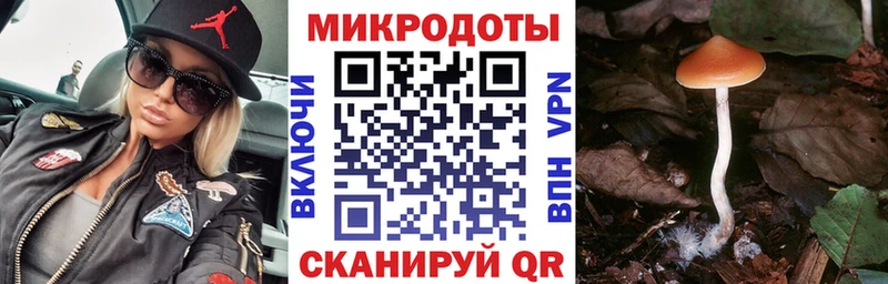 Псилоцибиновые грибы MAGIC MUSHROOMS  Гаврилов-Ям 